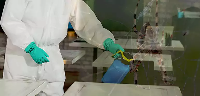 Why Buyers Still Want Homes With Pest Infestations in Jackson, MS?
