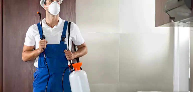 Why Jackson Homeowners Choose Us When Pests Make Selling Difficult